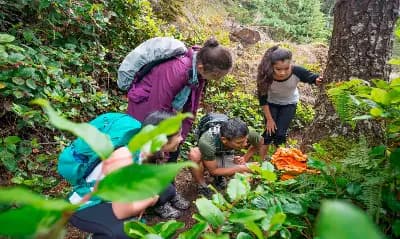 Curso de EDUCAÇÃO AMBIENTAL E SUSTENTABILIDADE